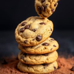 GALLETA DE CHISPAS DE CHOCOLATE
